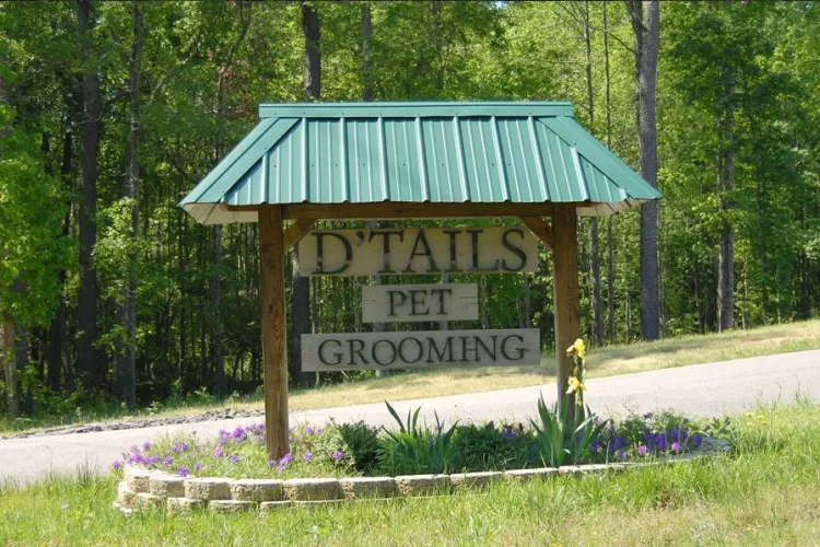 D'Tails Pet Grooming, Georgia, Augusta
